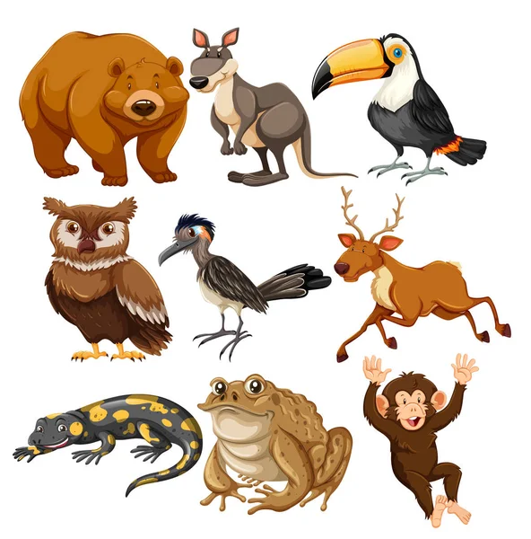 Σύνολο Των Διαφορετικών Ζώων Εικονογράφηση — Διανυσματικό Αρχείο