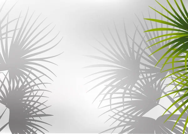 Shadow Palm Leaf Background Illustration — Stock Vector