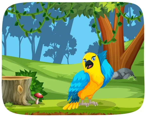 Colorful Parrot Wood Scene Illustration — Stock Vector