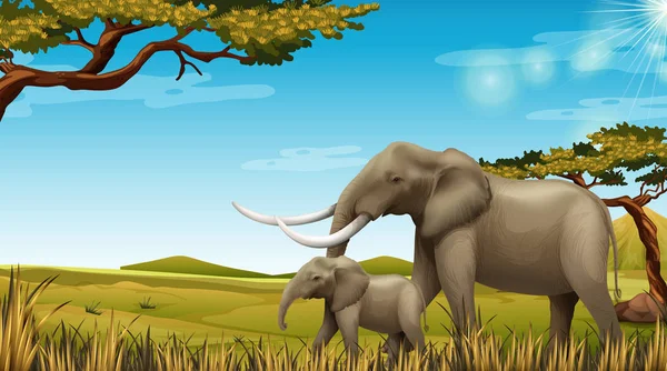 大象对在自然场面例证 — 图库矢量图片
