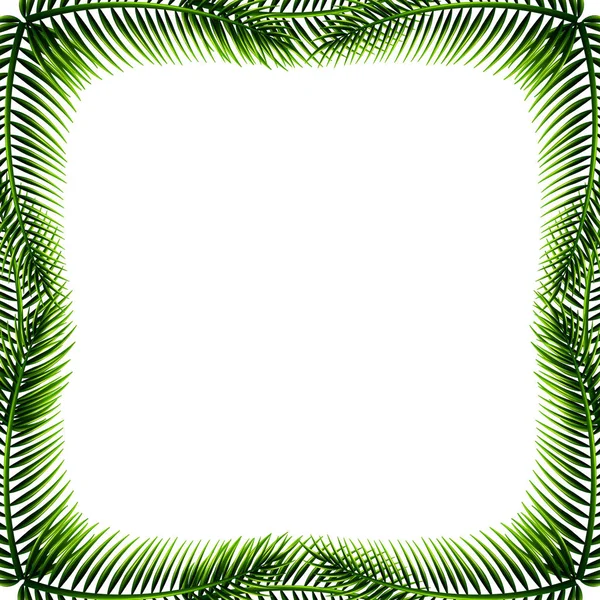 Palmblatt Natur Rahmen Illustration — Stockvektor