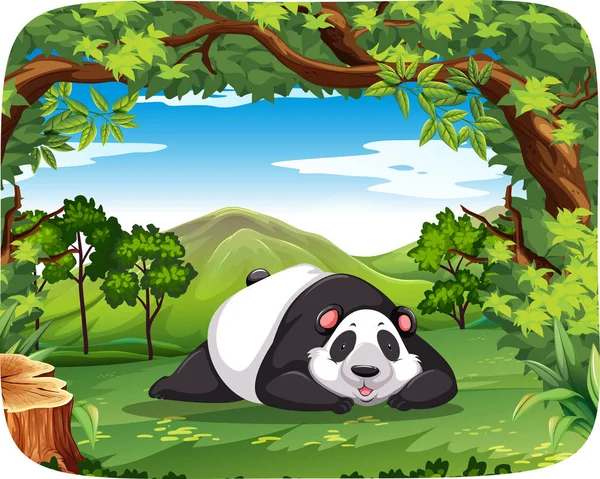 Panda Hout Scène Afbeelding — Stockvector