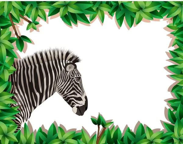 Zebra Natureza Quadro Ilustração —  Vetores de Stock