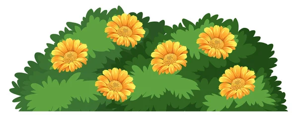 Uma Ilustração Isolada Arbusto Flores — Vetor de Stock