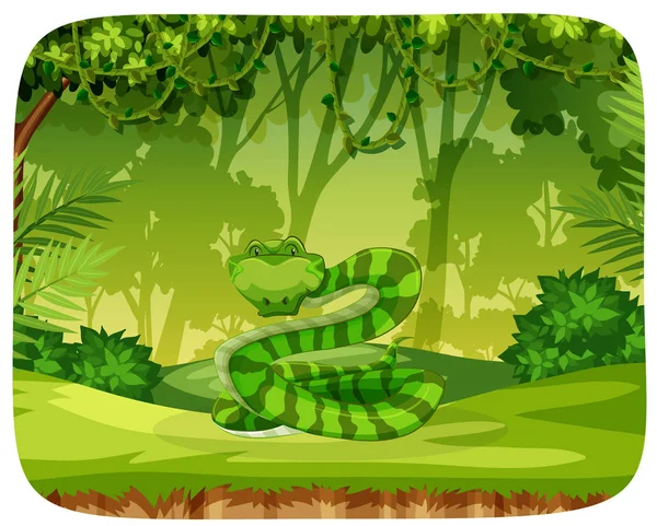 A snake in jungle — Stock Vector