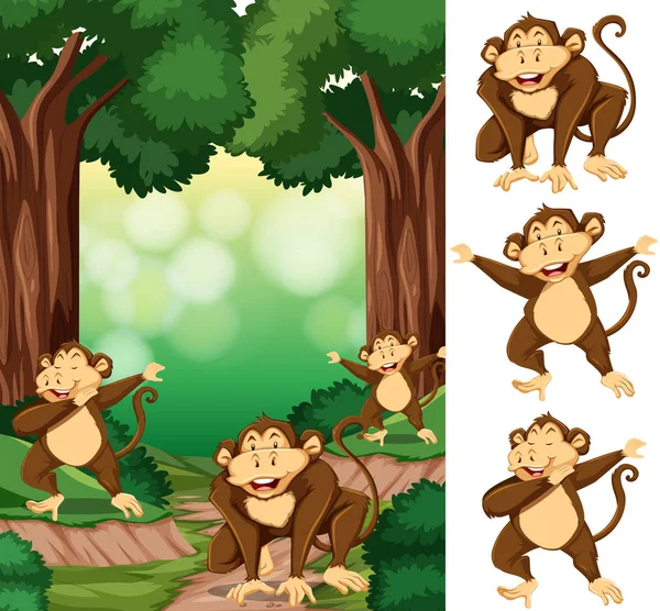 フォレストの猿のグループ — ストックベクタ