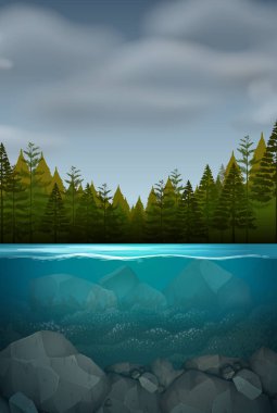 Bir sualtı doğa manzara