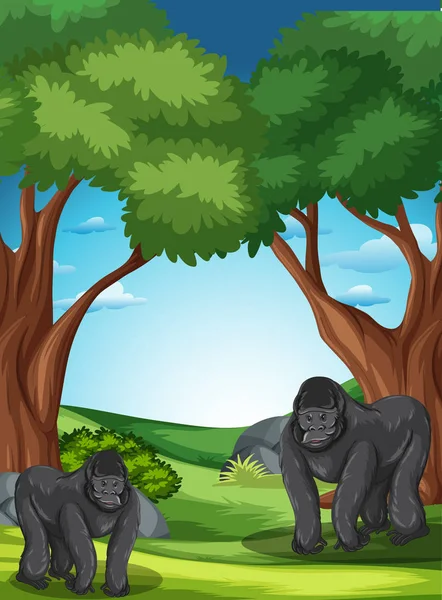 Gorila na natureza — Vetor de Stock