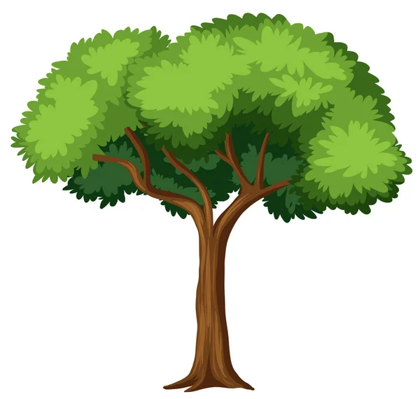 Beyaz arkaplanda izole edilmiş ağaç — Stok Vektör