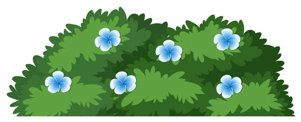 Isolato cespuglio di fiori su sfondo bianco — Vettoriale Stock