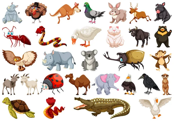 Ensemble de caractère animal — Image vectorielle