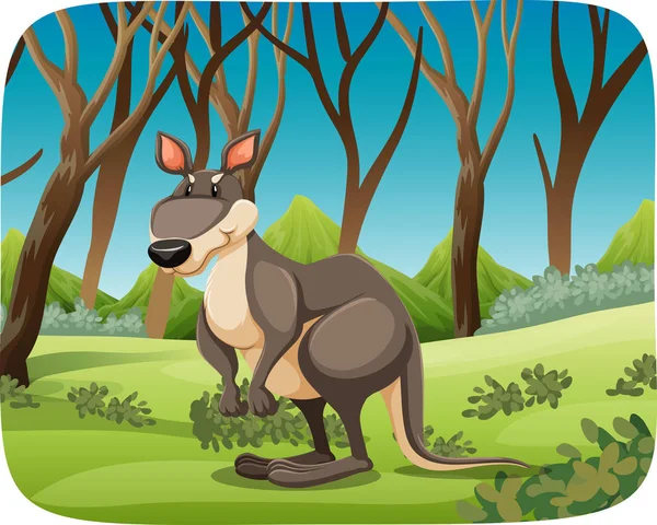 Un kangourou dans la nature — Image vectorielle