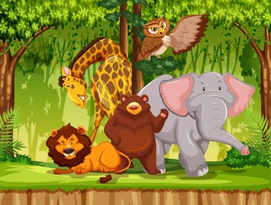 Ormandaki vahşi hayvan