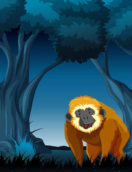 Mono en el bosque nocturno — Vector de stock