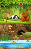 Картина, постер, плакат, фотообои "wild animal in jungle", артикул 250794112