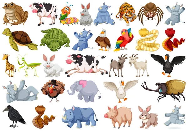 Set of animal charcter — Stock Vector