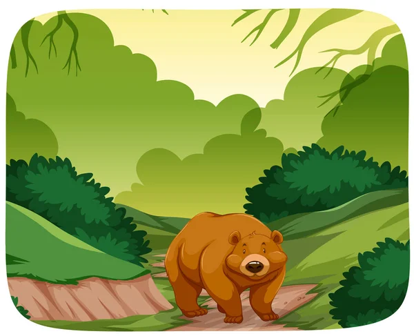 森林里的熊 — 图库矢量图片