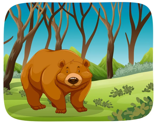 森林里的灰熊 — 图库矢量图片