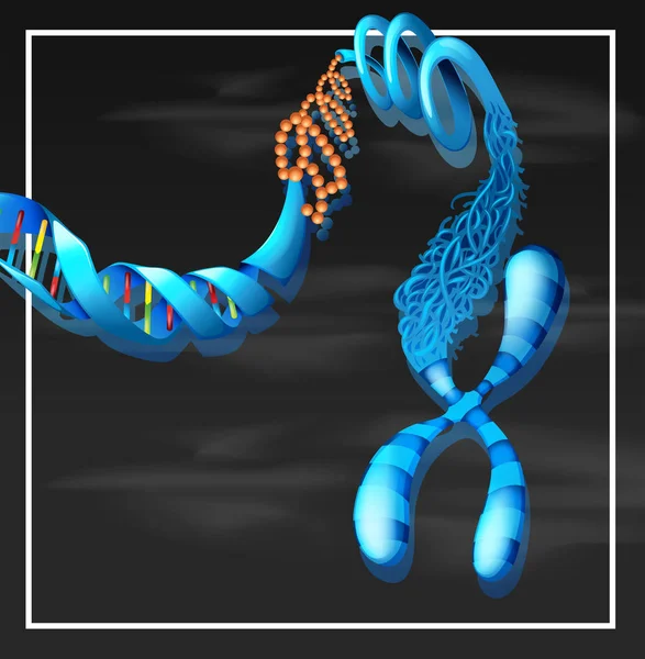 Een Dna-achtergrond-sjabloon — Stockvector