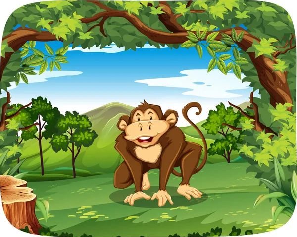 A monkey in wild forest