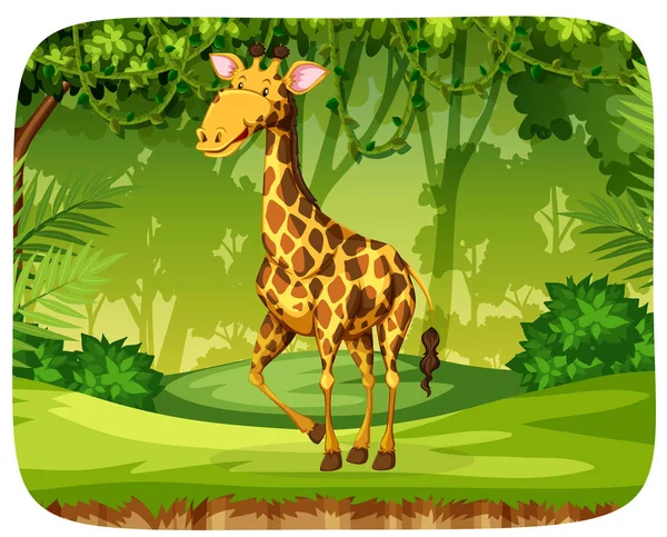A giraffe in the forest — Stock Vector