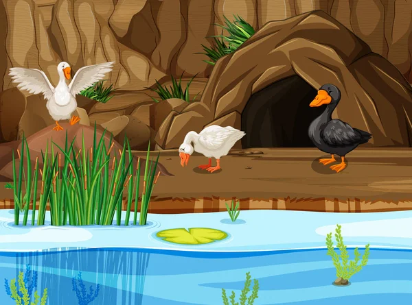 Patos en escena cueva — Vector de stock