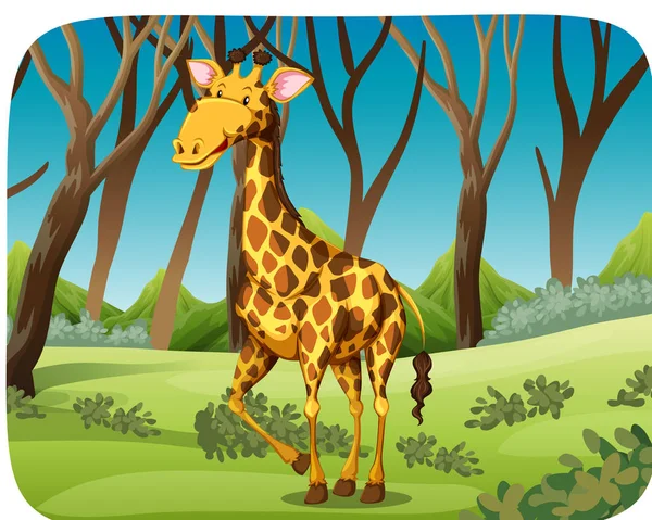 Eine Giraffe im Wald — Stockvektor