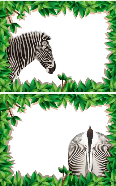 Um conjunto de zebra na moldura da natureza — Vetor de Stock