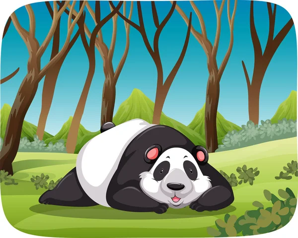 Panda in forest scene — Stock Vector