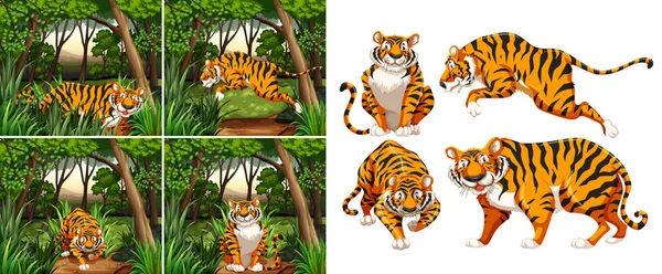Tiger in the forest — Stock Vector