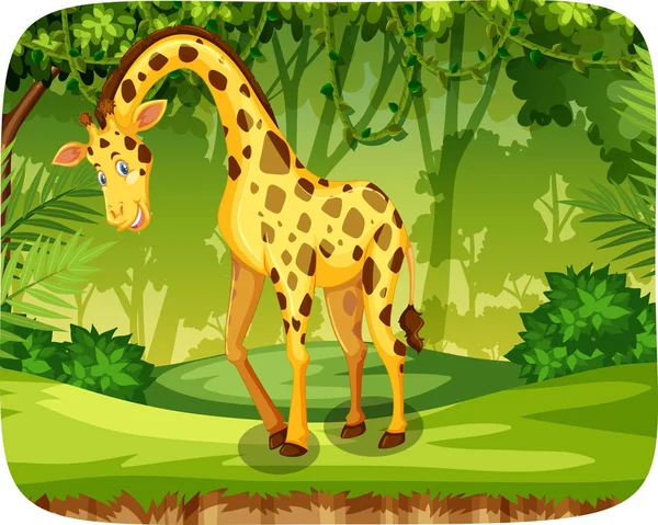 Een giraffe in de jungle — Stockvector