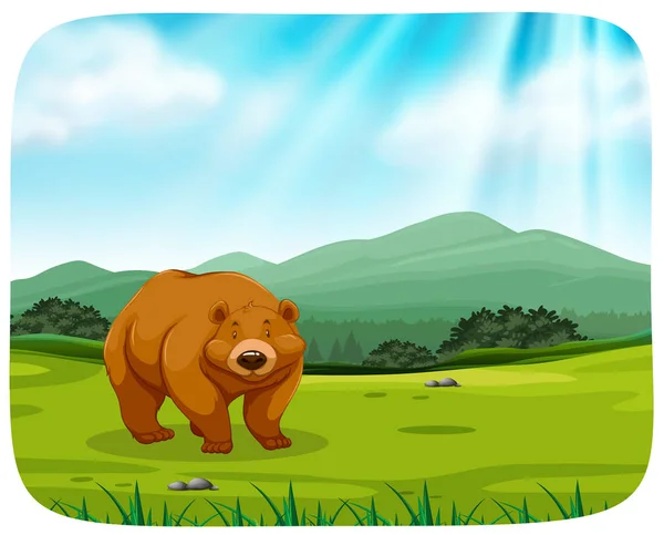 Cute bear in nature — Stock Vector