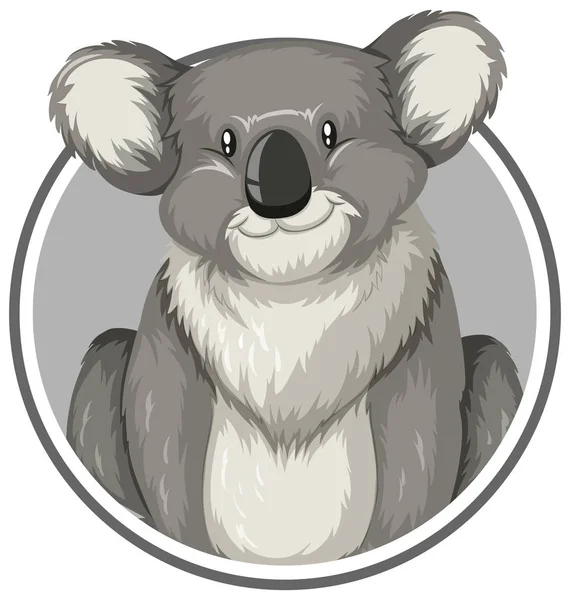 Koala in cerchio — Vettoriale Stock