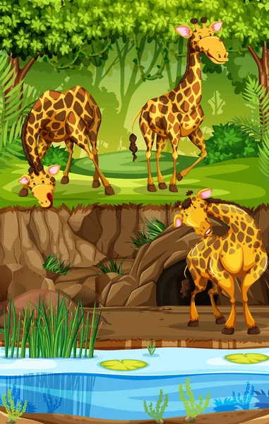 Drie giraffen In de Jungle — Stockvector