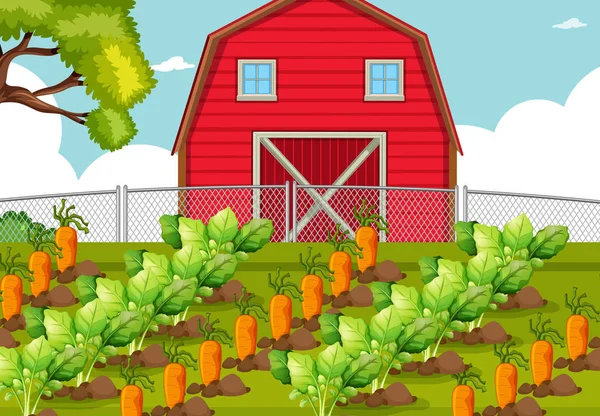 Bir çiftlikte sebze yama — Stok Vektör
