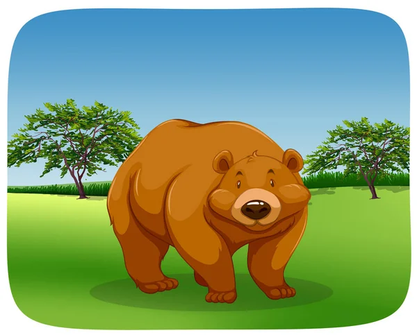 Medvěd v poli — Stockový vektor
