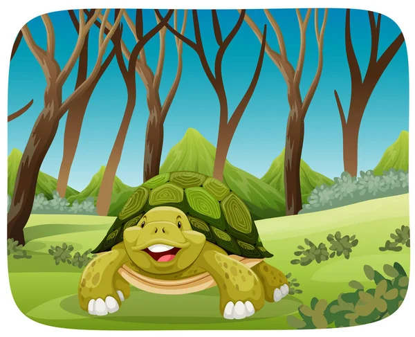 Sevimli kaplumbağa ormandaki — Stok Vektör