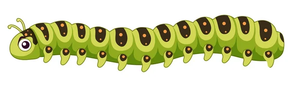 A caterpillar on white background — Stock Vector