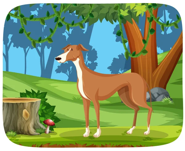 A greyhound in nature background — Stock Vector