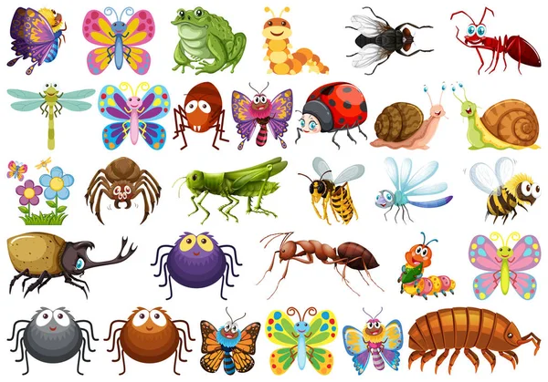 ชุดของตัวละครแมลง — ภาพเวกเตอร์สต็อก