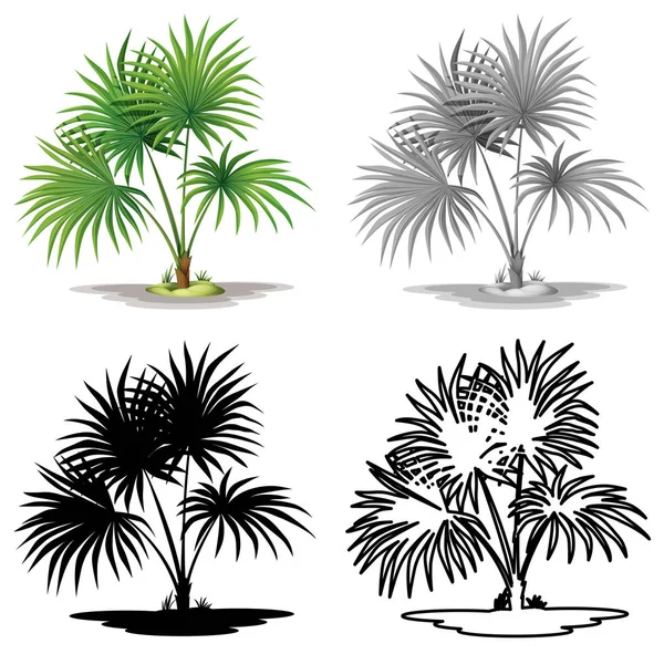 Conjunto de palmeras — Vector de stock