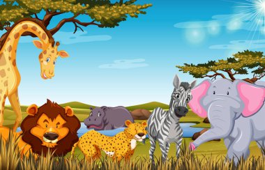 Safari sahnesinde hayvanlar