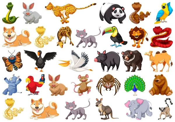 Gran grupo de animales — Vector de stock