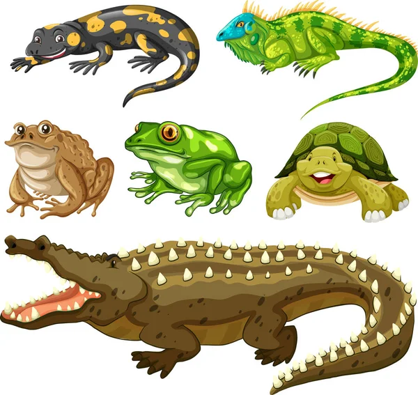 Ensemble d'animaux reptiles — Image vectorielle
