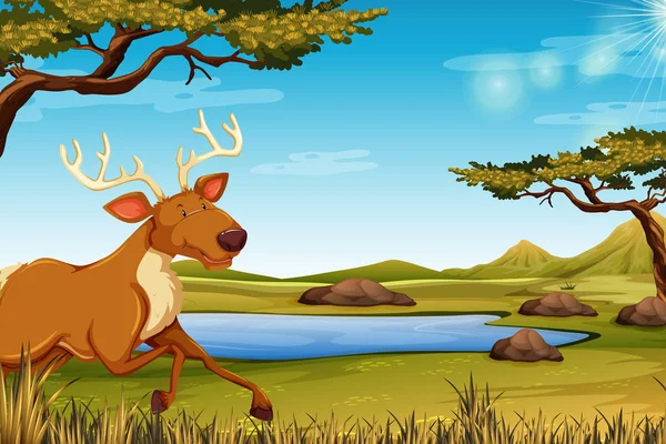 Felice cervo in natura — Vettoriale Stock