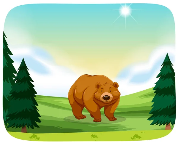 Brown bear in nature scene — Stock Vector