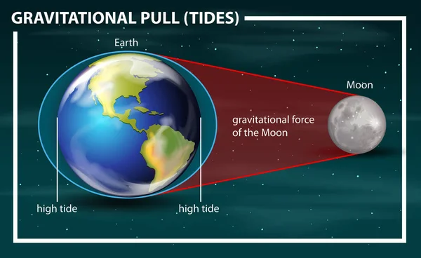 Gravitational pull tides diagram — Stock Vector