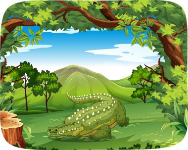 doğa sahnesinde timsah