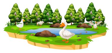 İzole ördek havuzu