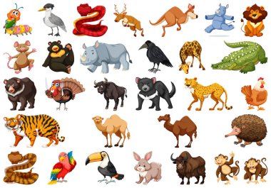 Bir sürü sevimli hayvan.